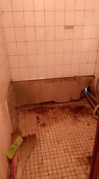 1-к квартира, 5/5 эт., 31м²
