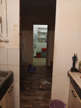 Дом 51м², участок 17 сот.