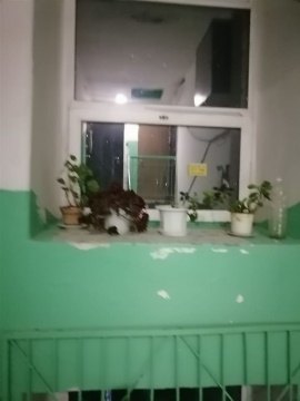 1-к квартира, 5/5 эт., 32м²