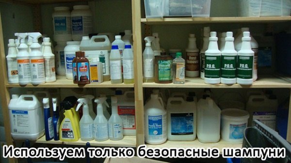 чистка ковров, стирка одеял, химчистка мебели