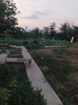 Дом 51м², участок 17 сот.